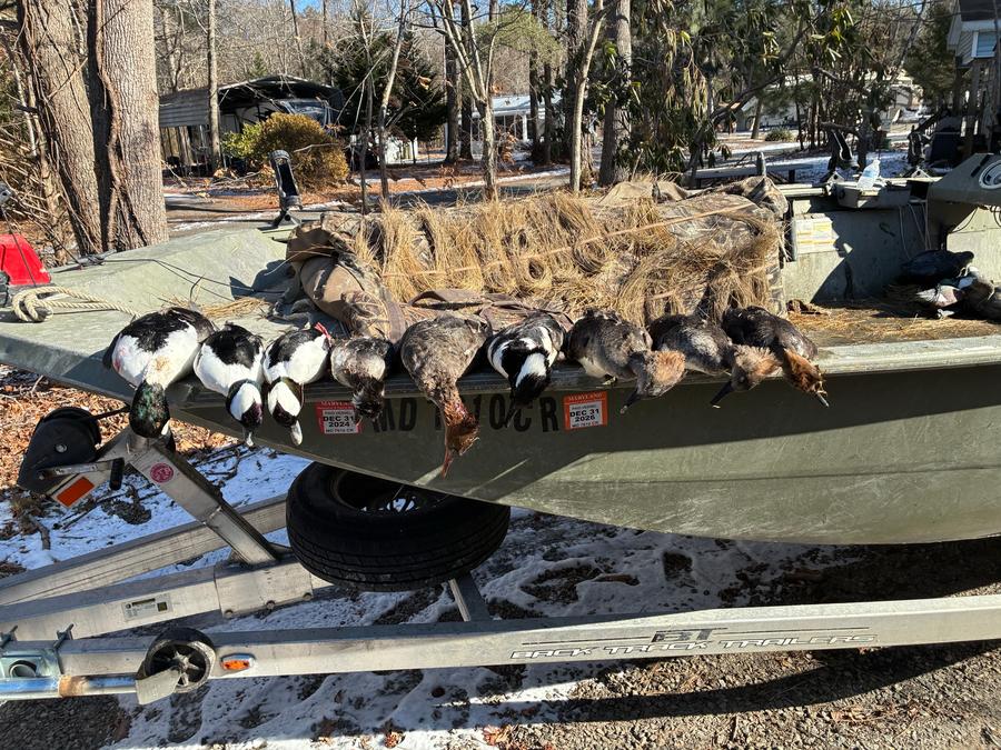 Grass-brushed jon boat on its trailer with birds along the gunwale