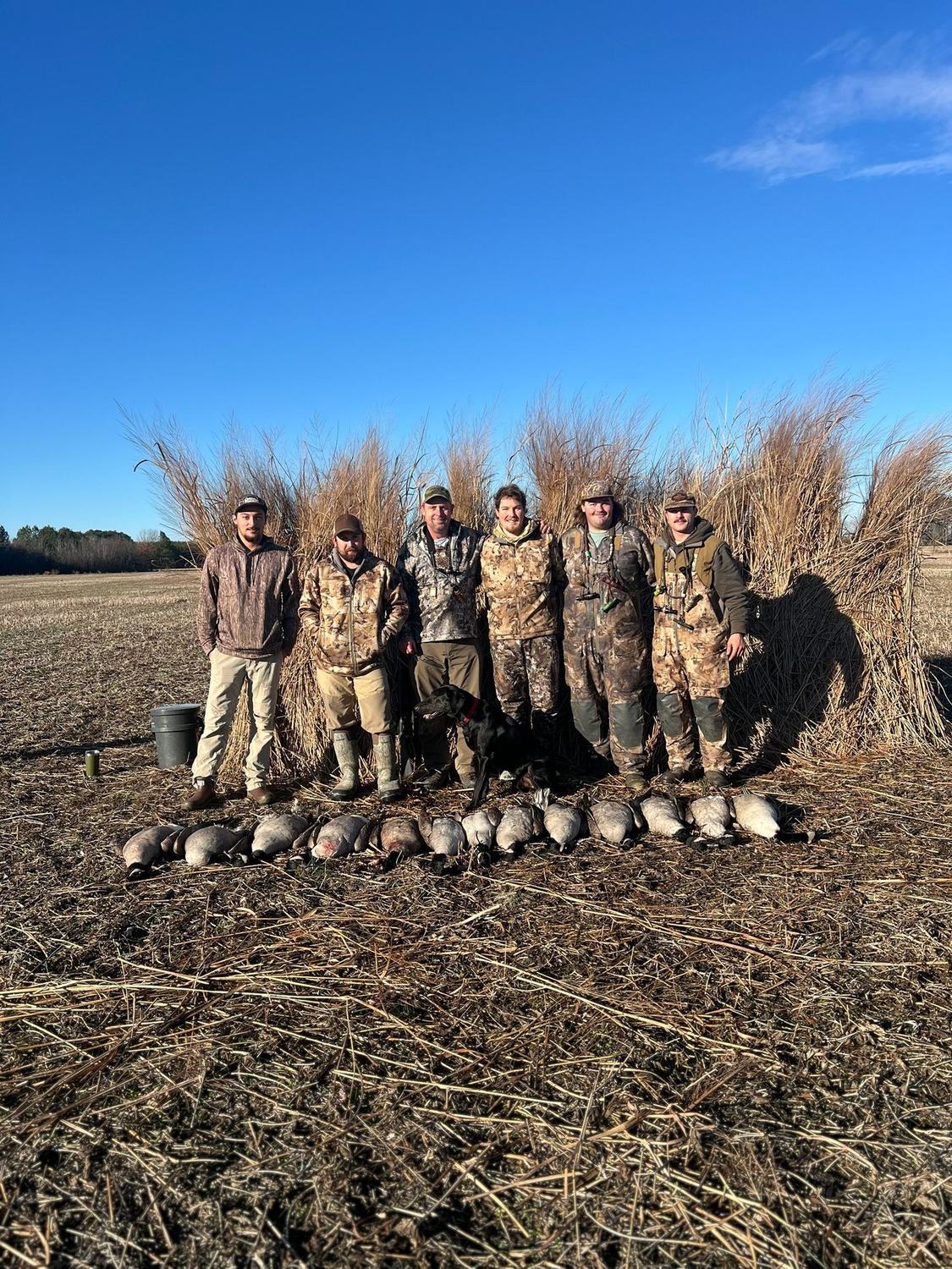 Six hunters lined up in front of a grass blind with the morning's birds laid out in front of them