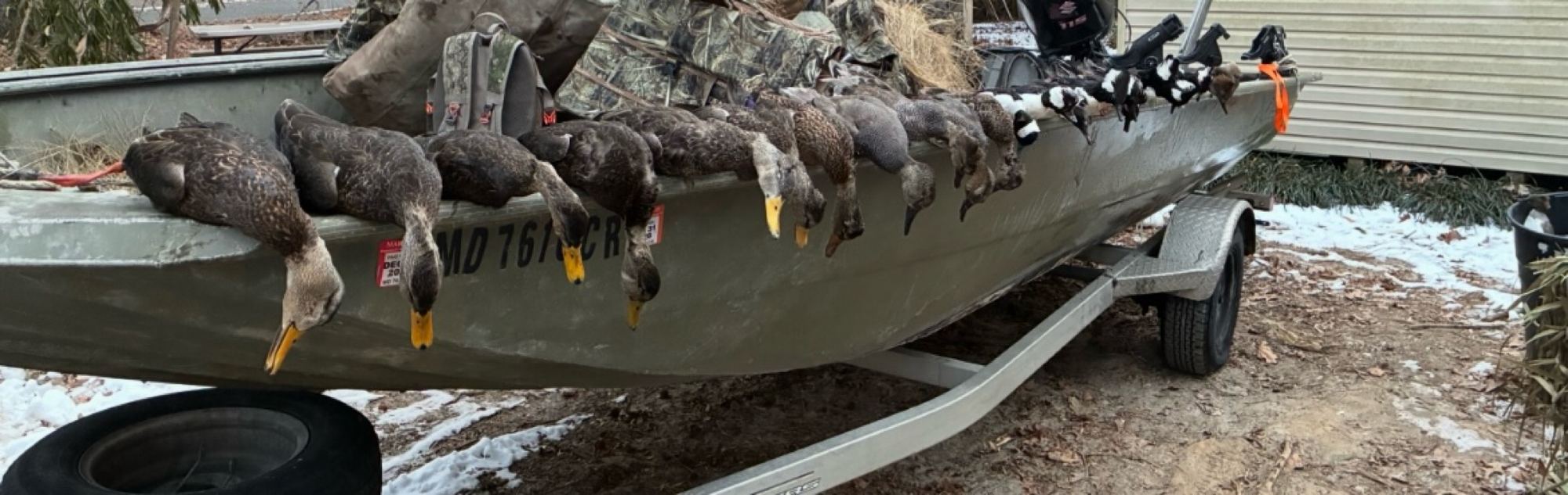 Geese and sea ducks along the boat gunwale with snow on the ground