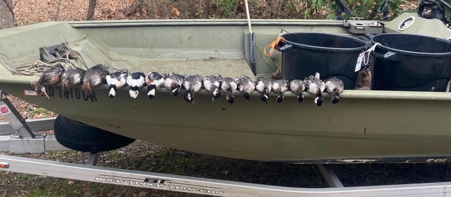 A long strap of buffleheads and sea ducks along the gunwale of the jon boat
