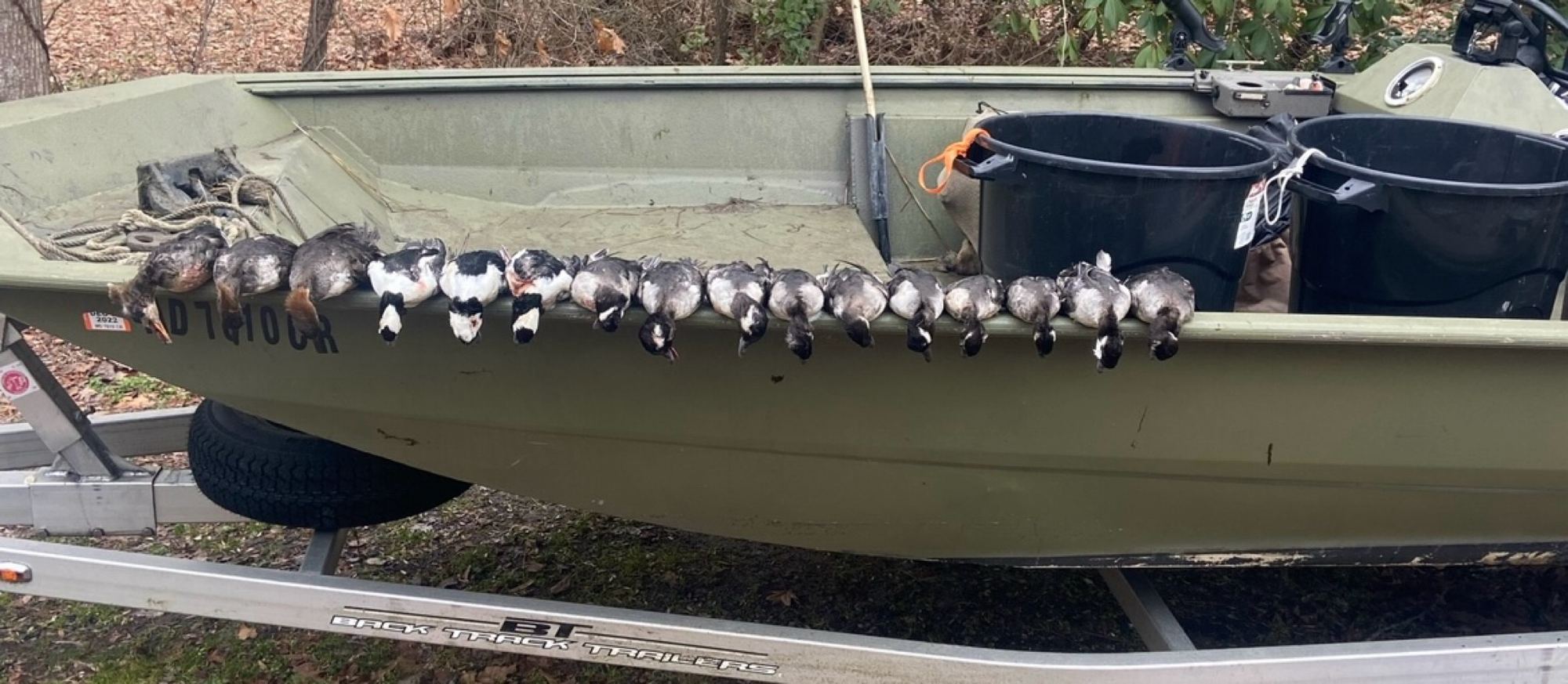 A long strap of buffleheads and sea ducks along the gunwale of the jon boat