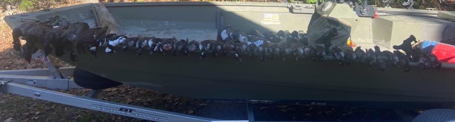 Birds laid along the full length of the boat gunwale